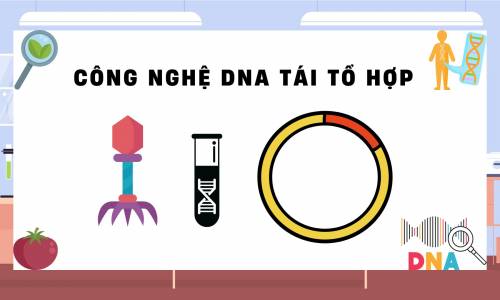 CÔNG NGHỆ DNA TÁI TỔ HỢP